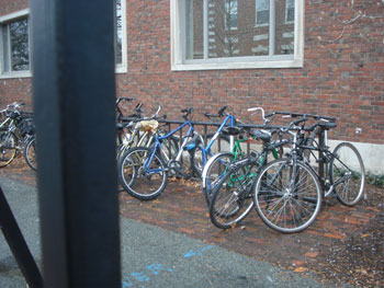 Harvard, Fahrräder