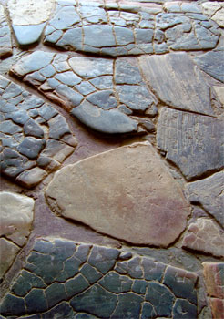 Knossos Mosaik des Minos