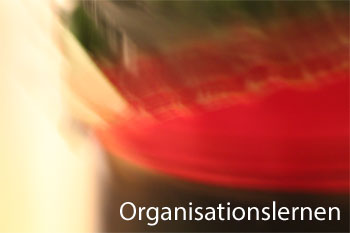 Organisationslernen